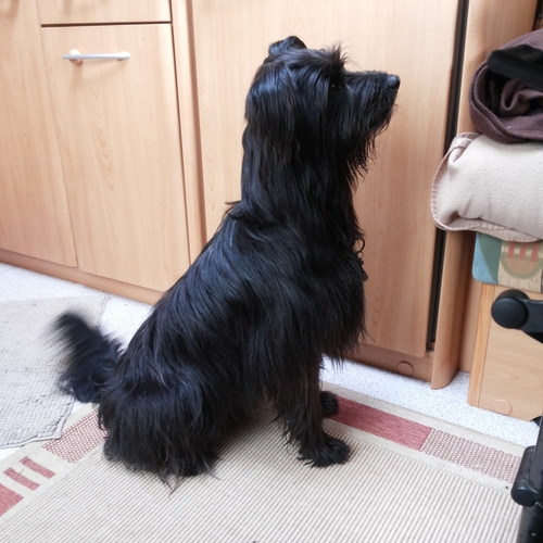 Urlaub im Schwarzwald (2)